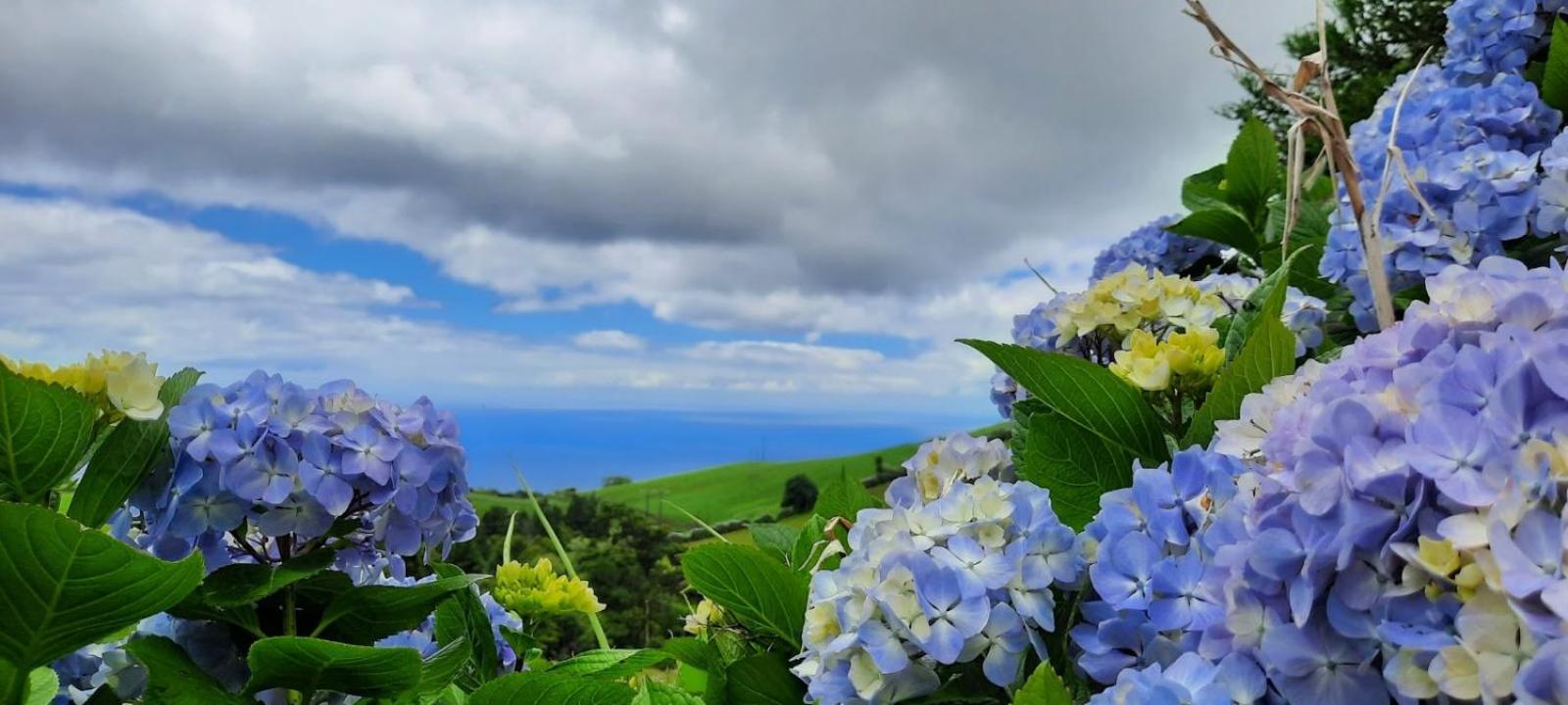 Quinta Da Espadana Povoacao  Eksteriør bilde